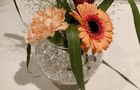 Bloem-en-passie