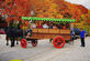 Western Waerboom iov The Event Company - Foto 4