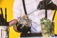 Originele cocktailbar/cocktailcatering voor al uw evenementen! - Foto 3