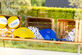 Workmode off: welkom in Ciborland! - Foto 11
