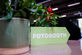 Foto- en video-activaties voor Duracell, Ethias en Wit-Gele Kruis - Foto 12