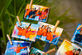 Foto- en video-activaties voor Duracell, Ethias en Wit-Gele Kruis - Foto 18