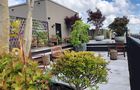 Green Rent bv