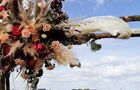 Bloem & Styling Aan de Zeven Alleetjes bv