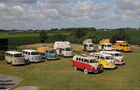 Hippiebus