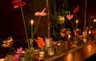 Wolterinck Event Decoration